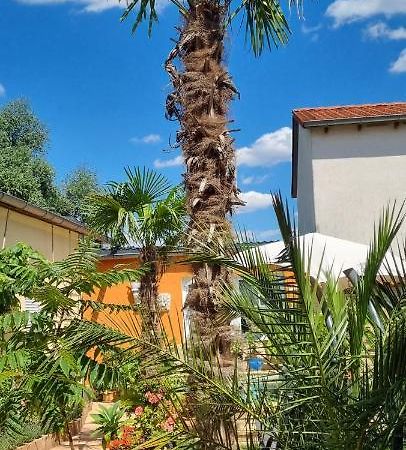 Grahl'S Ferienwohnung Markranstädt Exteriör bild