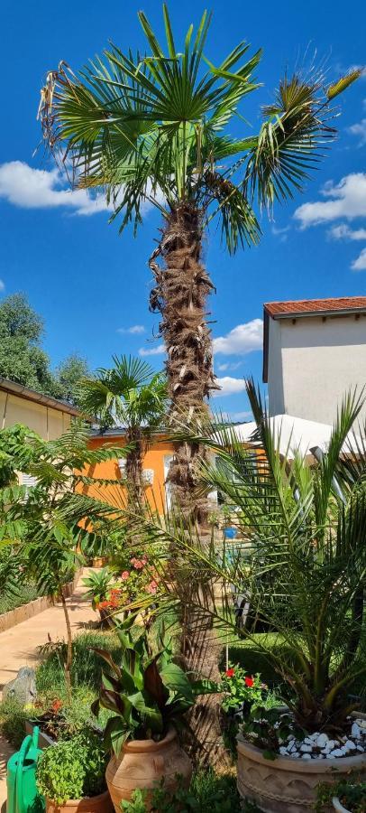 Grahl'S Ferienwohnung Markranstädt Exteriör bild